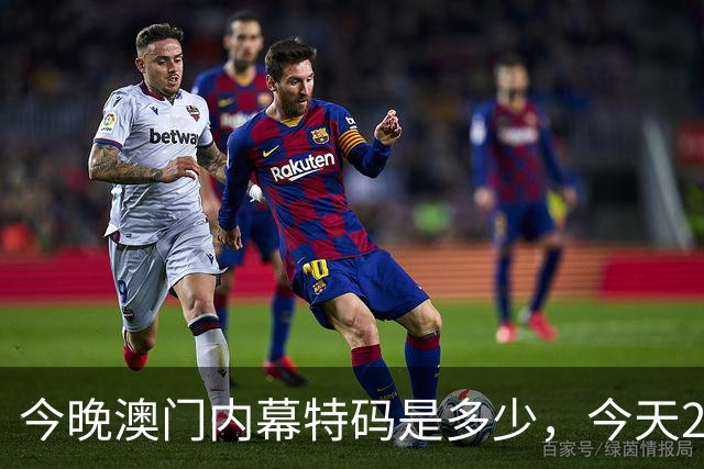 今晚澳门内幕特码是多少，今天297期特码资料是多少每日分享
