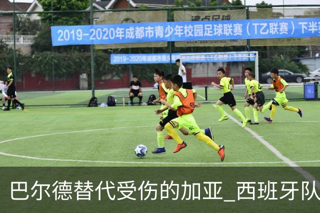巴尔德替代受伤的加亚 西班牙队内巴萨球员增到8人