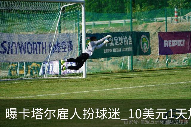 曝卡塔尔雇人扮球迷 10美元1天加食宿免费