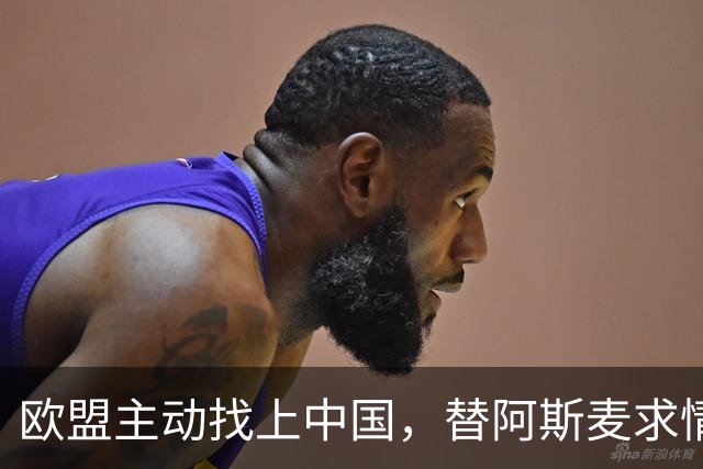 欧盟主动找上中国，替阿斯麦求情：中方别管制了，真顶不住