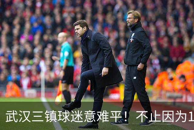 武汉三镇球迷意难平！不止因为1-3上海申花，更多在于以下五点！