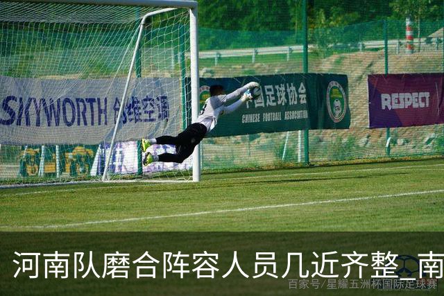 河南队磨合阵容人员几近齐整 南基一剑指中超前六