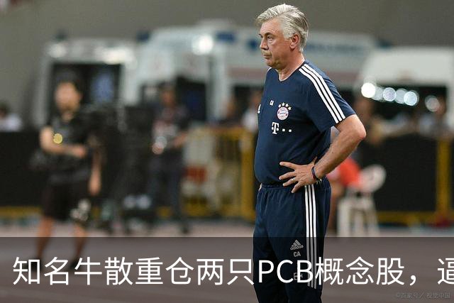 知名牛散重仓两只PCB概念股，逼近举牌线