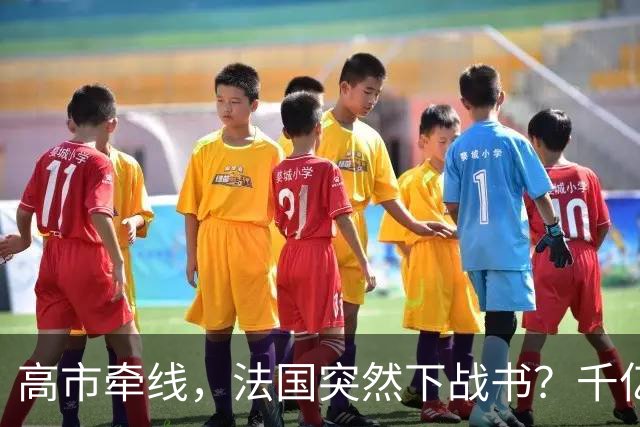 高市牵线，法国突然下战书？千亿合作或成废纸，结局早已注定