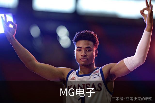 MG电子公司环境